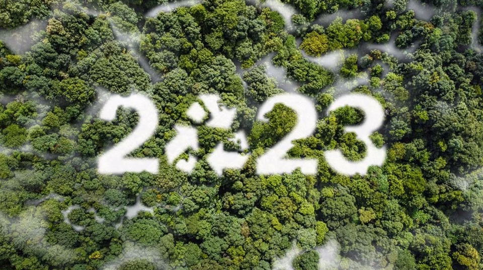 Meilleur sérum anti-âge naturel en 2026 : notre verdict sans concession